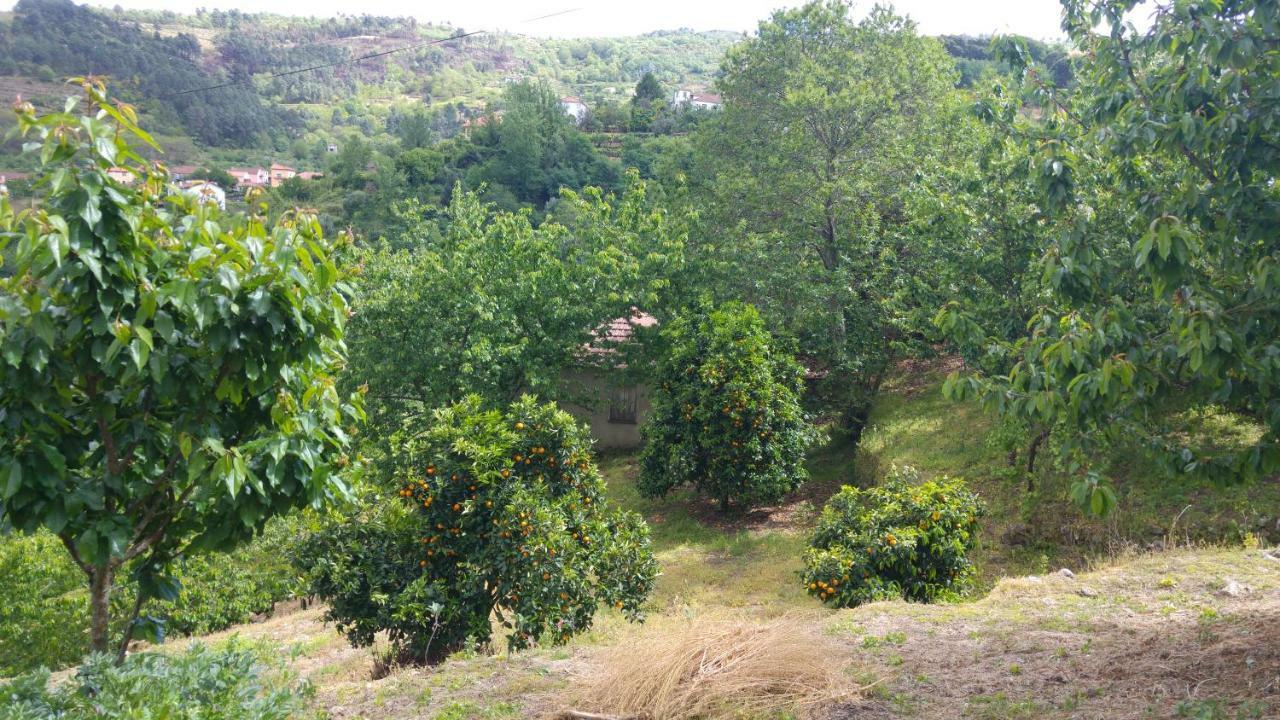 Pensjonat Casa Da Eira - Castanheiras Resende Zewnętrze zdjęcie